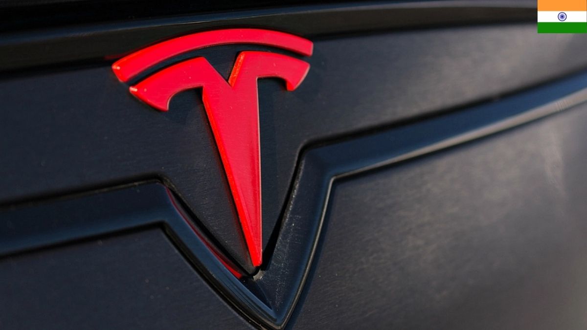 Tesla India EV market
