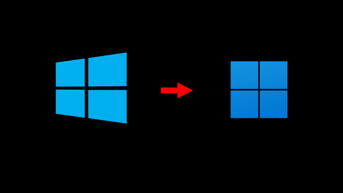 windows 11 logo