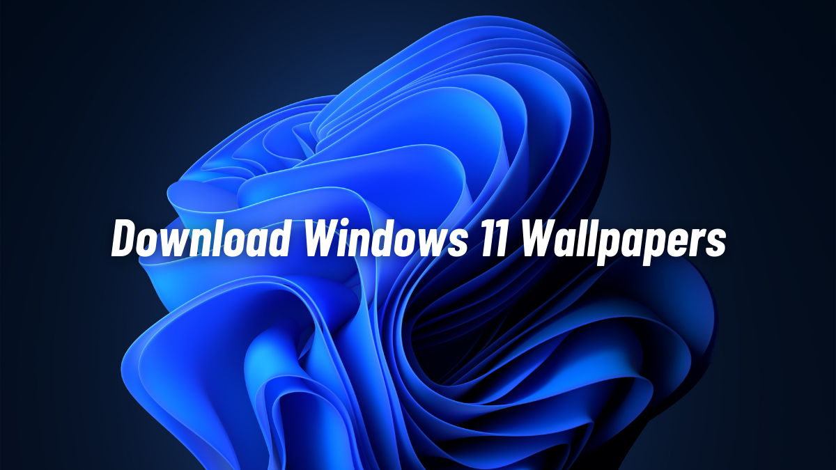 Download The Windows 11 Wallpaper Collection And Themes Here!