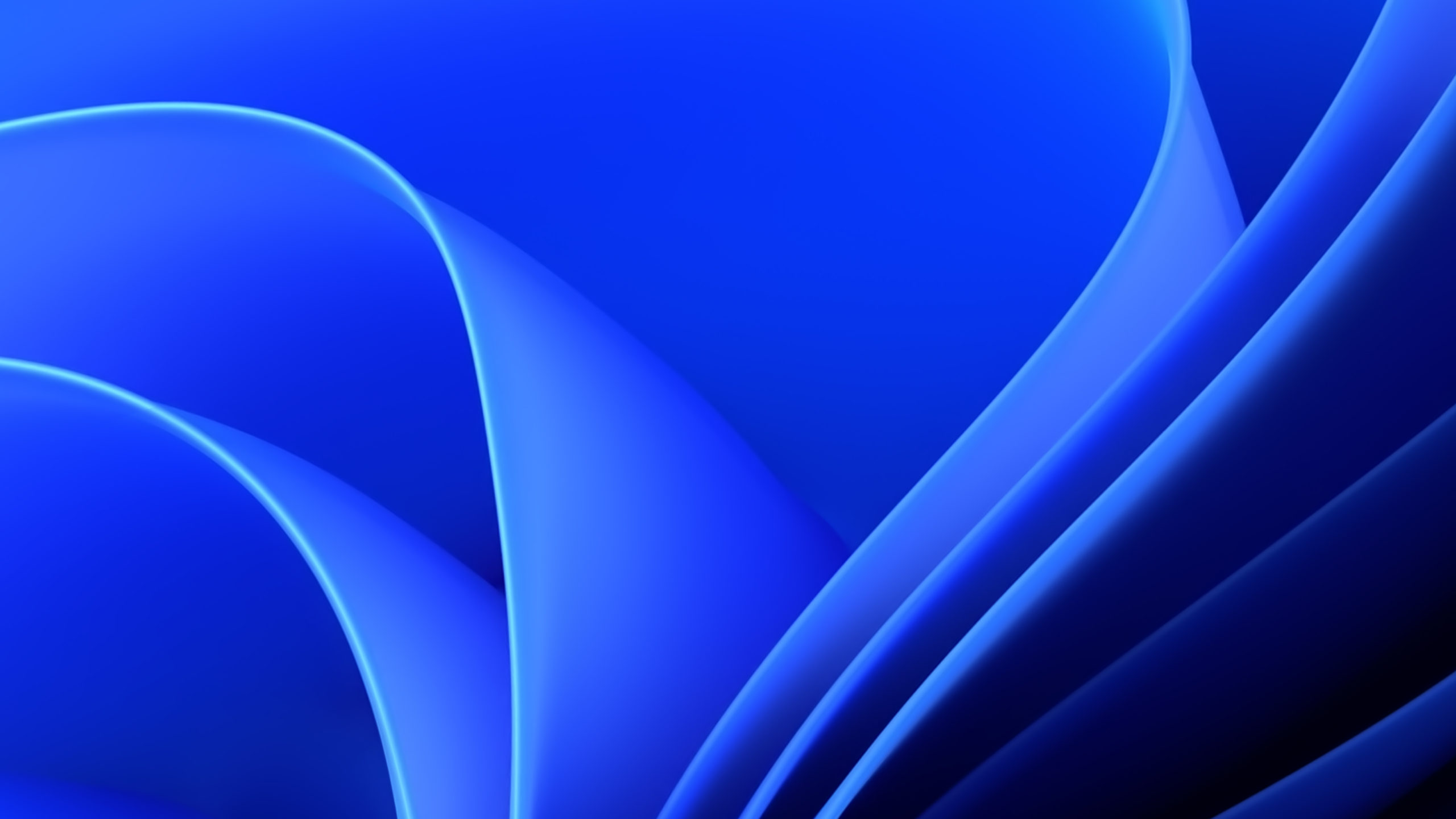  Updated Blue Fire Skull Live Wallpapers Themes for PC  Mac  Windows  111087  Android Mod Download 2023