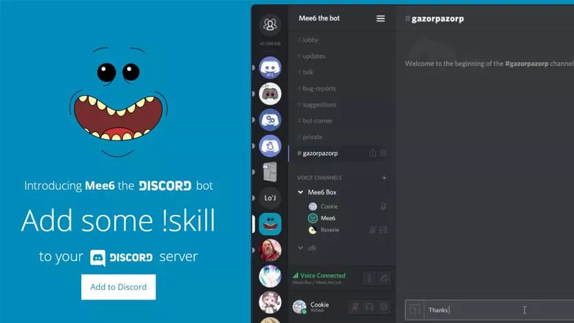 Your Private Discord Server is ready