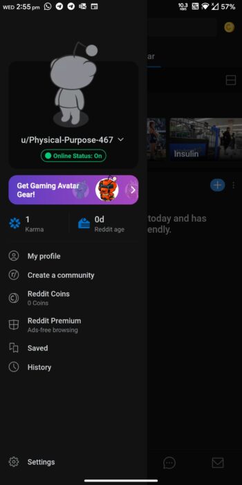 Reddit app menu