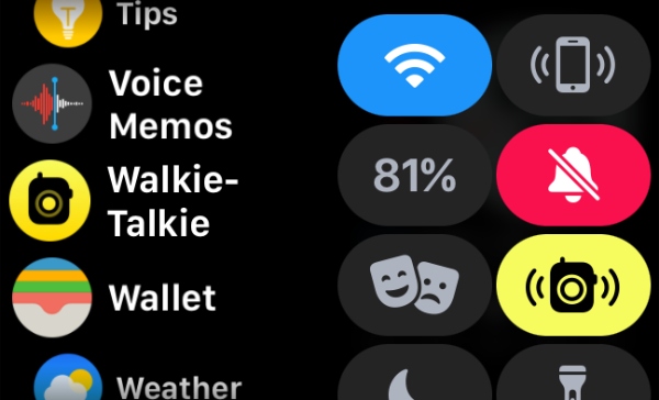 6 Apple Watch Walkie Talkie Feature