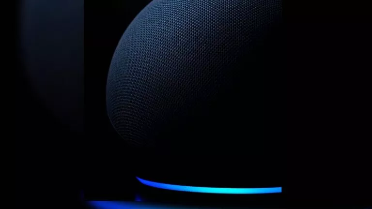 Alexa powered Echo Dot privacy leak