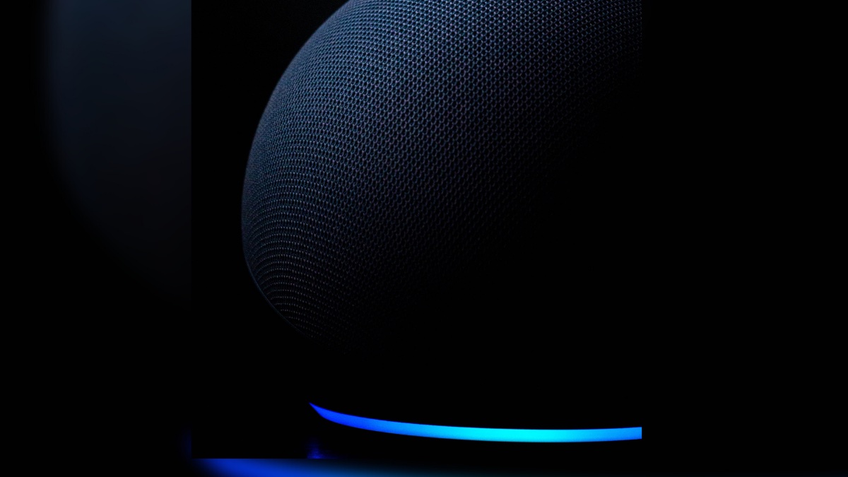 Alexa powered Echo Dot privacy leak