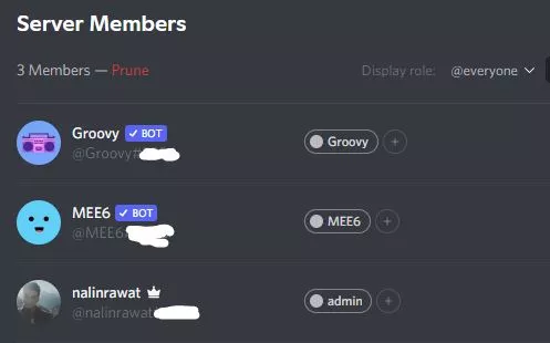 discord member list