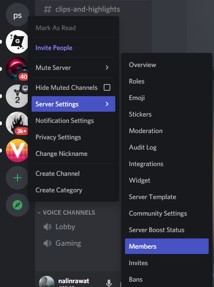 member settings on discord