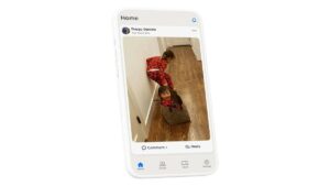 whatsapp alternative halloapp
