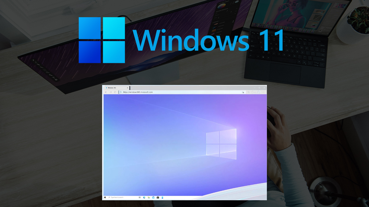 windows 11 vs windows 365