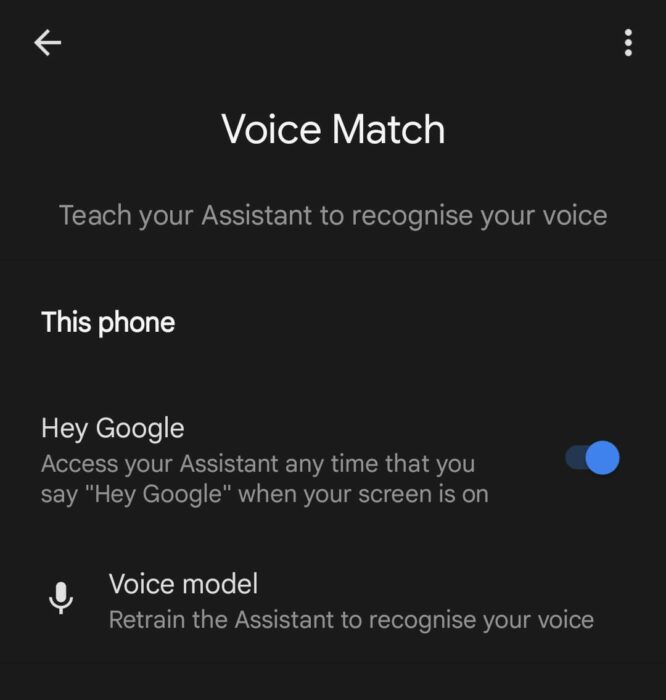 voice match