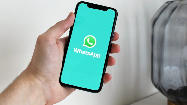 a person holding smartphone with whatsapp open