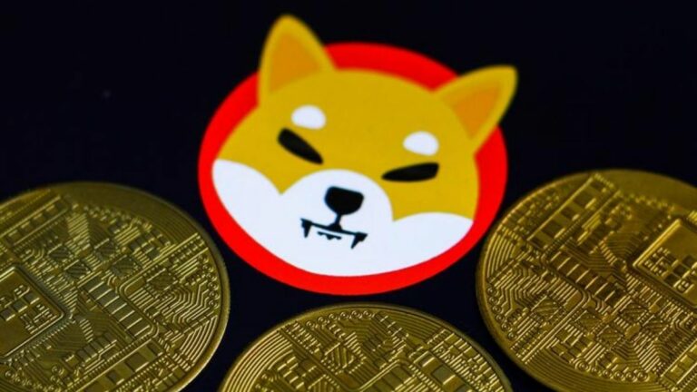 Shiba Inu coin prices soar up