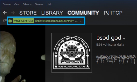 steam app friends profile url