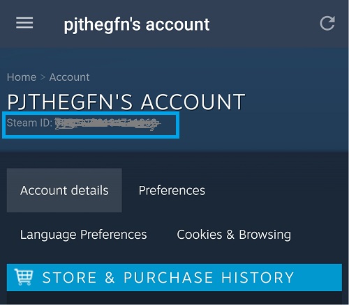 How to find Steam ID on PC or Mobile