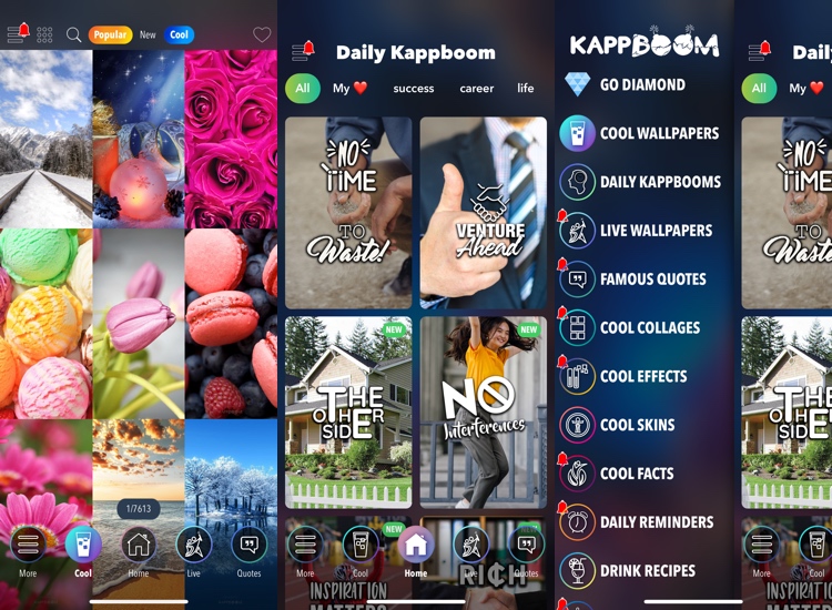 Kappboom app