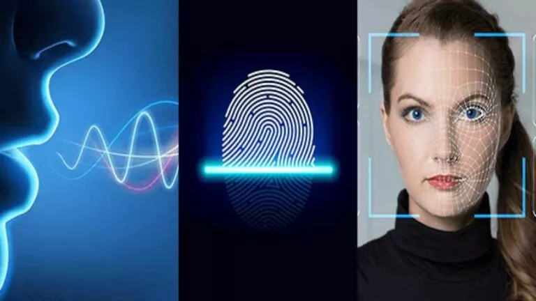 biometrics and online security
