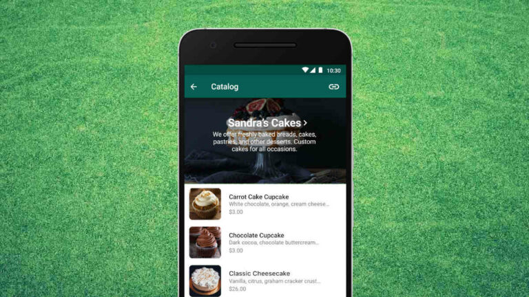 whatsapp-business