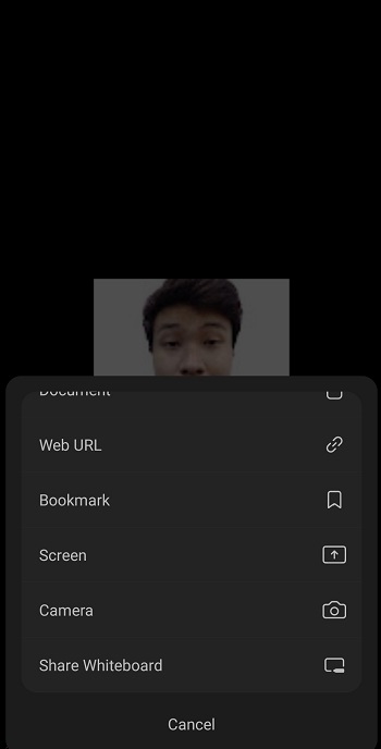 share screen options zoom mobile app
