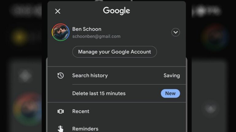 Google delete 15 minutes search history feature