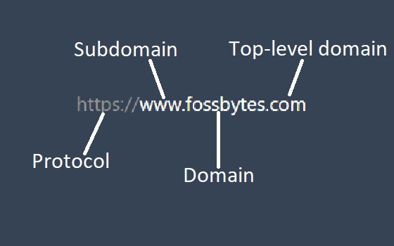 domain name and other components of a URL