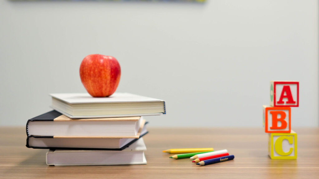 english language bundle