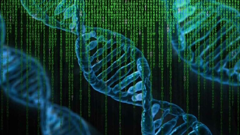 scientists completely map human dna