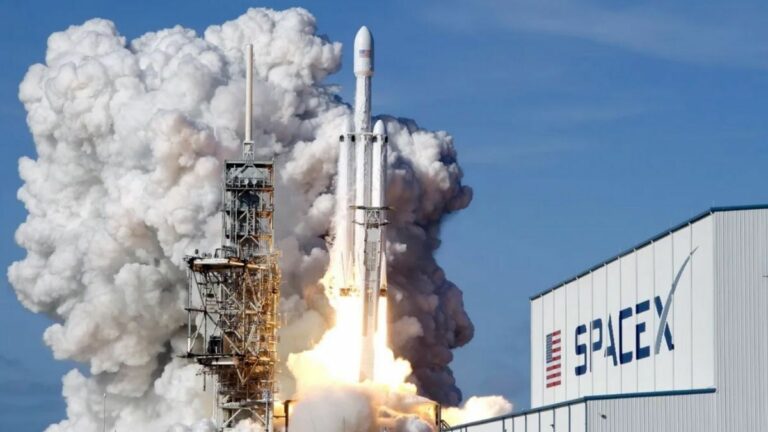 Government Body Says SpaceX Expansion Threatens Endangered Species In Texas