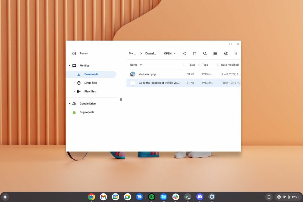 Chromebook files app