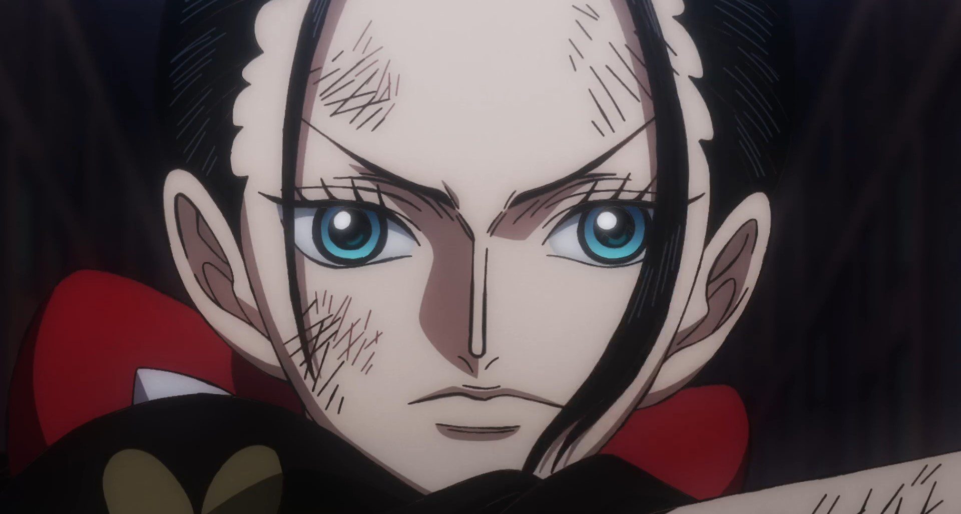 one piece episode 1021 robin｜TikTok Search