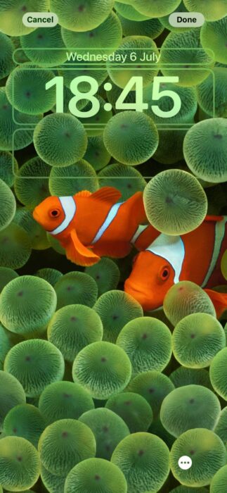 Have You Seen This New Clownfish Wallpaper On iOS 16 Beta?