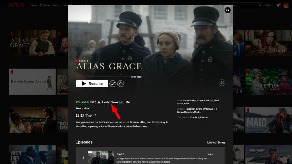 Alias Grace Netflix Limited Series