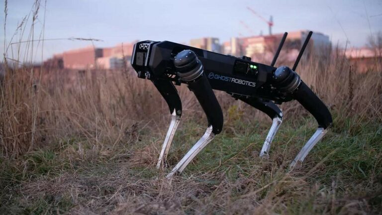 vision 60 robot dog