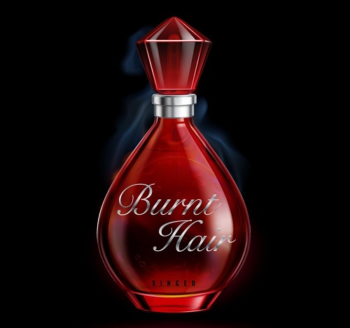 burnt hair perfume by the boring company