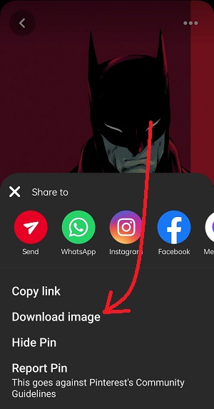 download image button in pinterest app