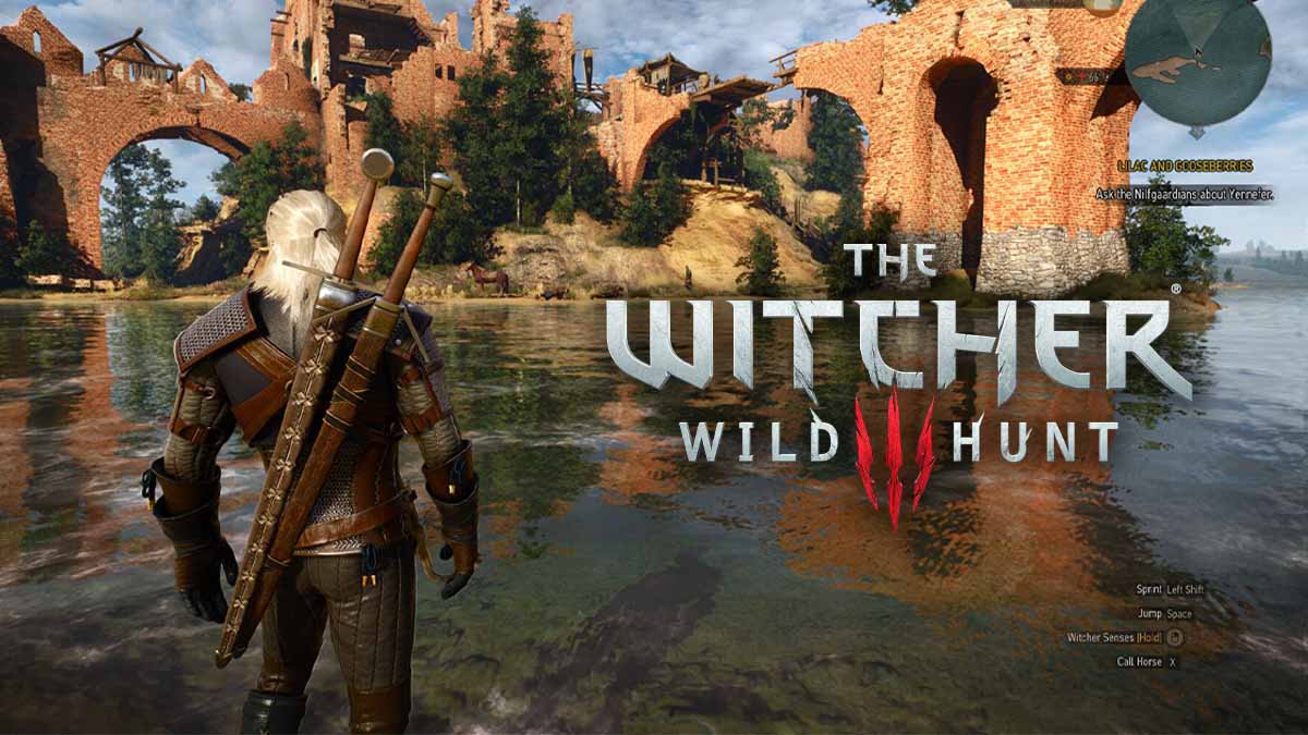 The Best Witcher 3 mods