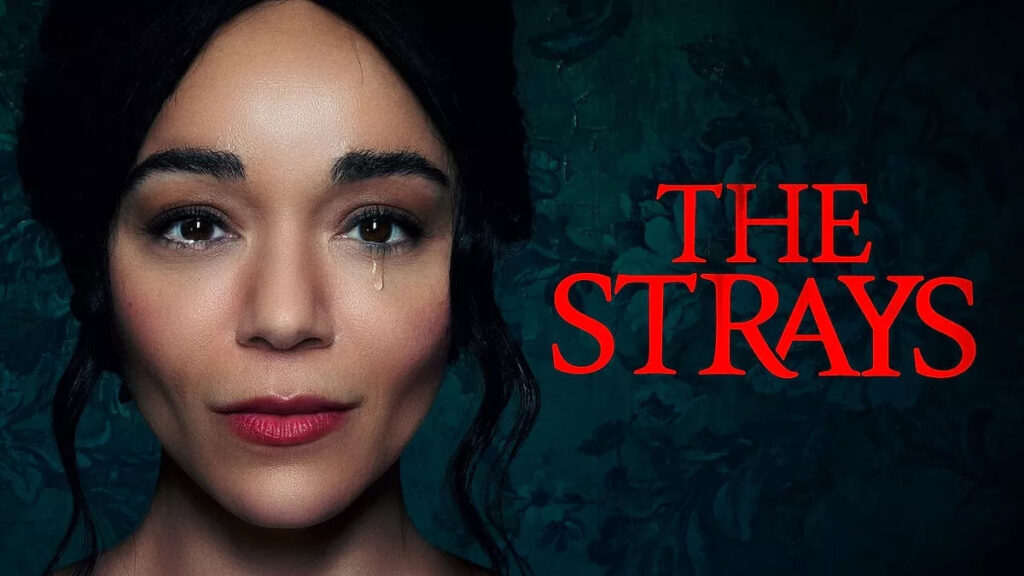 How To Watch Netflix's The Strays For Free? Release Date, Time, Plot