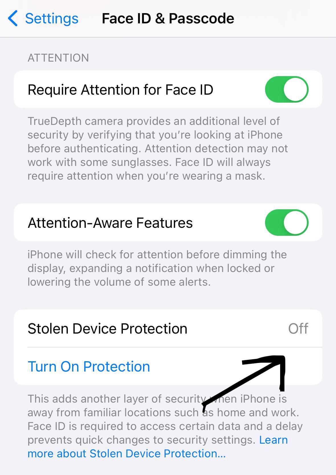 Screenshot of stolen device protection feature on iPhone