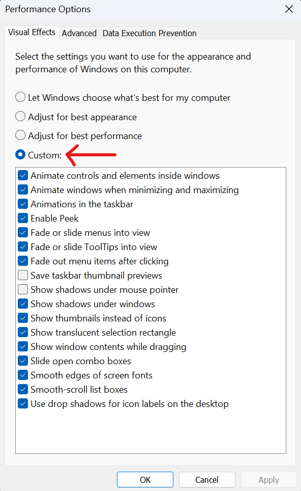 Screenshot of how to disable custom animations in Windows 11