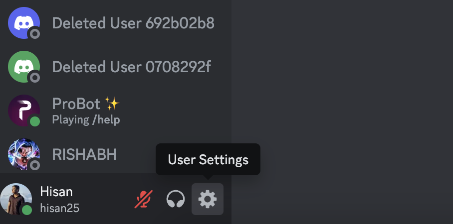 Screenshot of discord settings on macOS 1