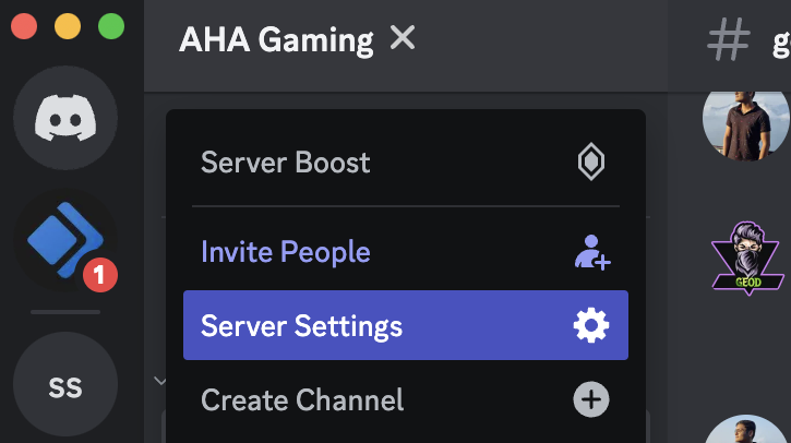 Screenshot of the Server settings in the discord app