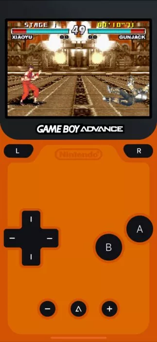 Screenshot of the Tekken game