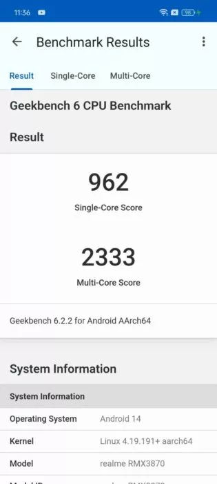 Screenshot of the Geekbench result