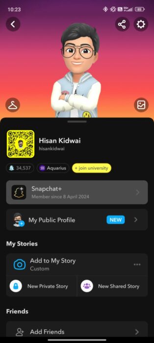 Screenshot of the custom app icon feature on Snapchat Plus 1