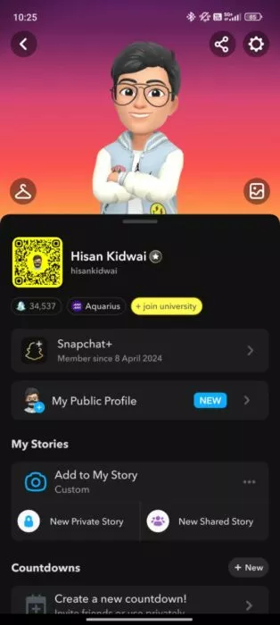 Screenshot of the Snapchat Plus Badge 