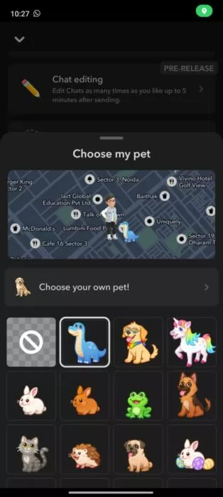 Screenshot of the change map appearance feature on Snapchat Plus 2
