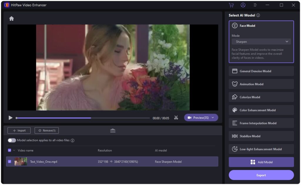 HitPaw Video Enhancer AI models