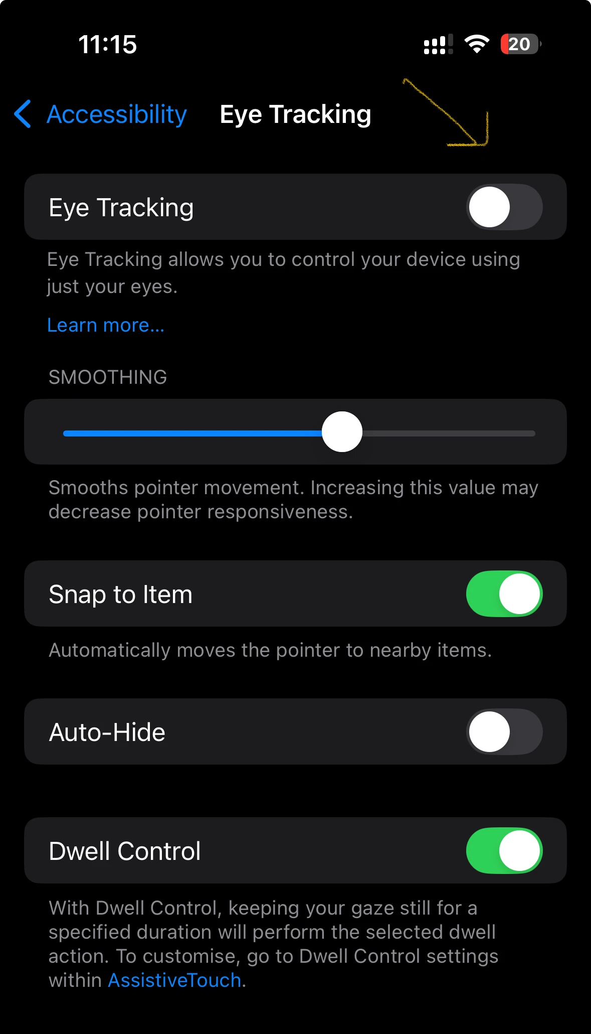 eye tracking option in settings