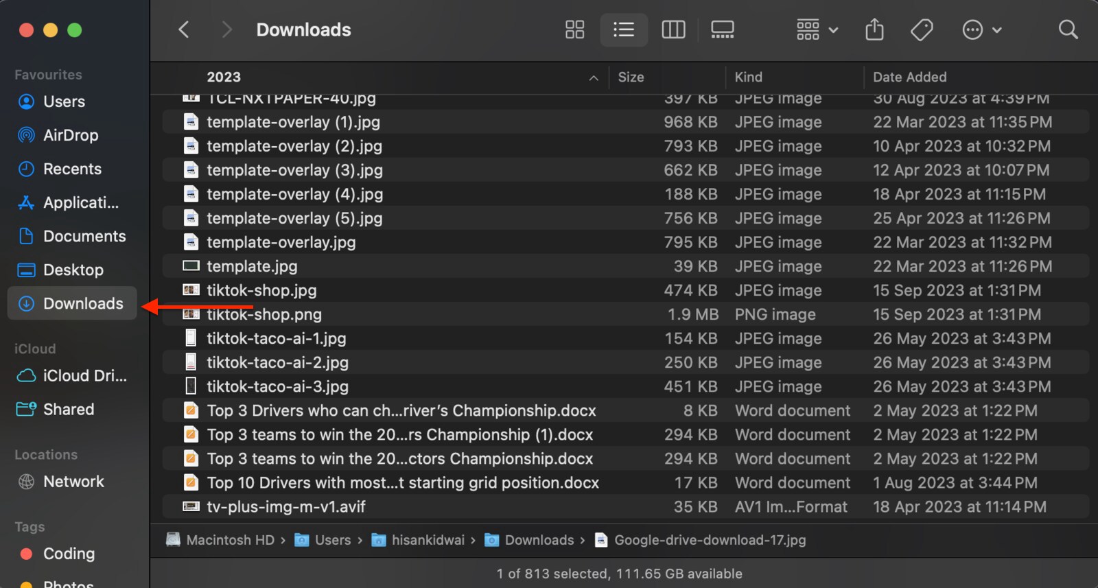 Screenshot of the Downloads section on Mac