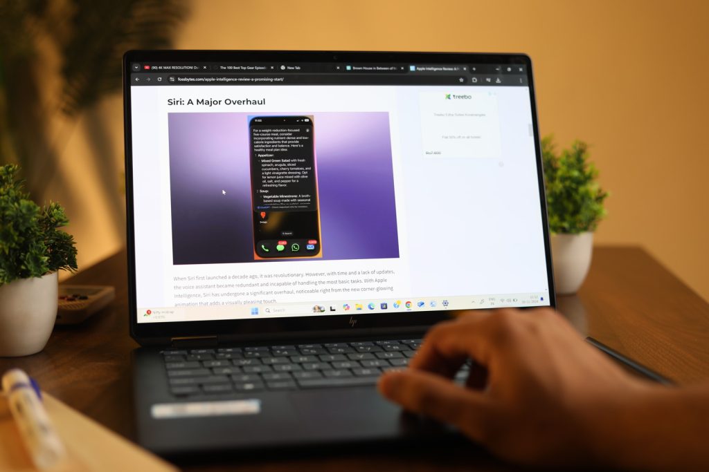 Image of a person using the laptop