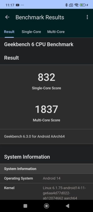 Geekbench result